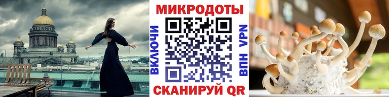 Галлюциногенные грибы GOLDEN TEACHER  Заозёрный 